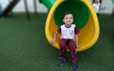 A brincadeira e o desenvolvimento infantil